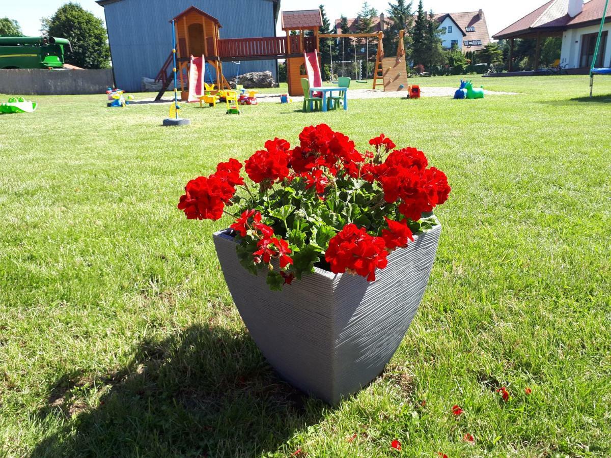 Domki Letniskowe Rekinek Ujście-Darłowskie Exterior photo